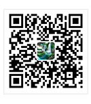 山东金光集团